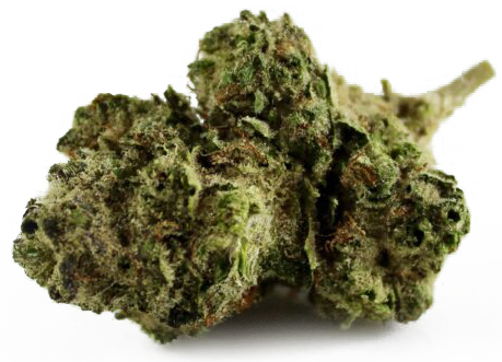 What are cannabinoids and terpenes?